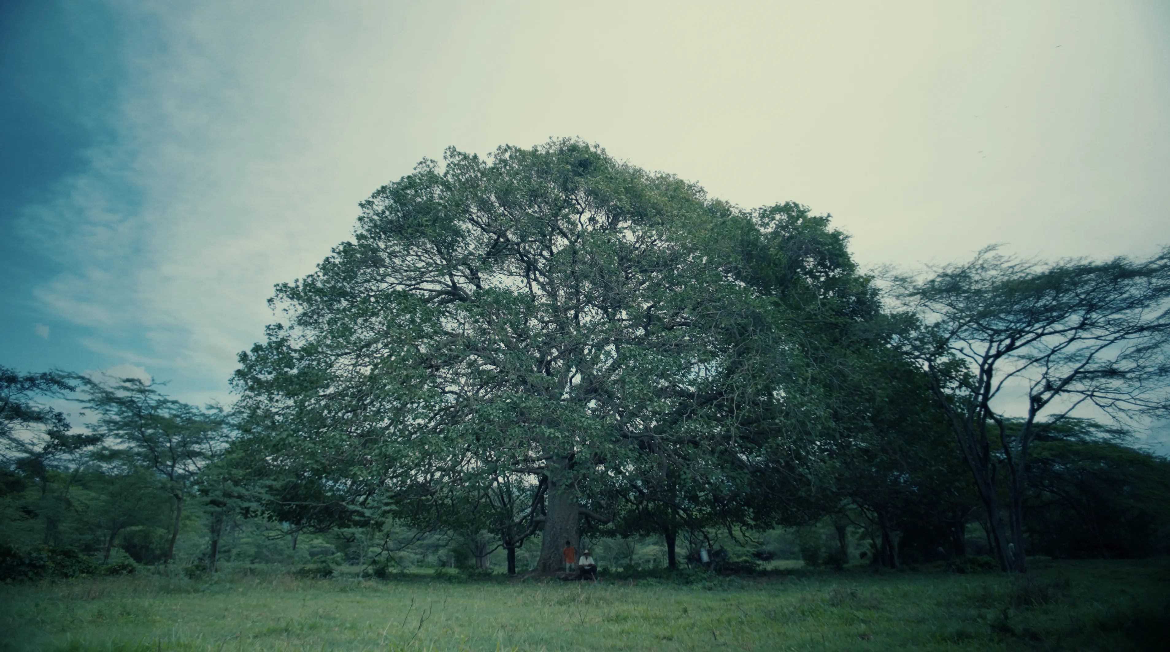 Still de ficción